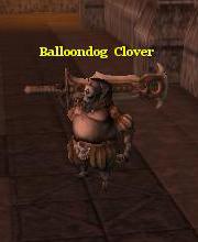 Balloondog Clover